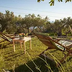 Ferienhaus Rustikale Oliveto By Interhome