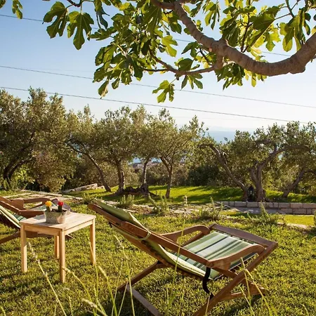 Ferienhaus Rustikale Oliveto By Interhome Makarska