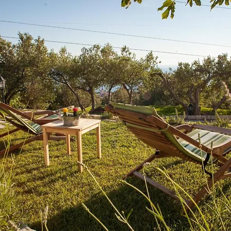 Tatil Evi Rustikale Oliveto By Interhome
